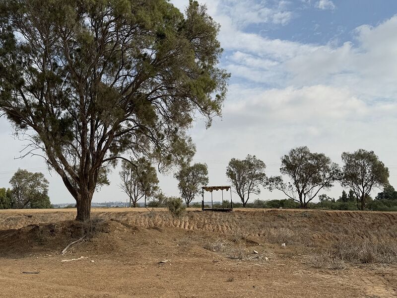 קובץ:BorBeeri 2024.jpg