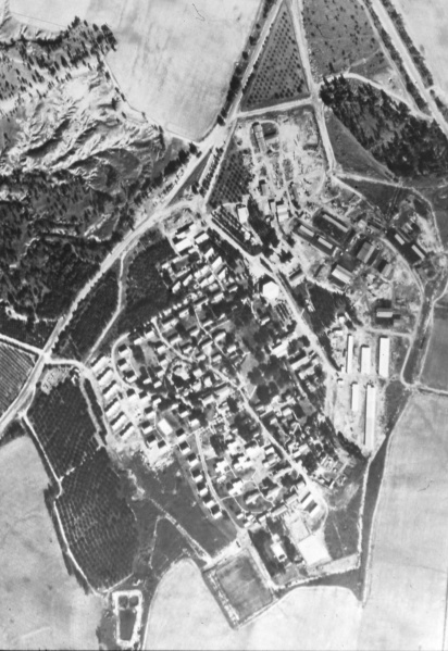 קובץ:Beeri 75.jpg