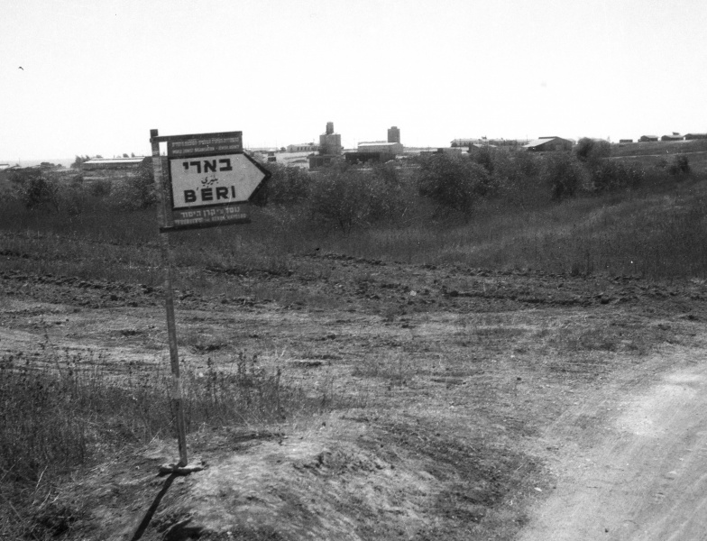 קובץ:Tamrur C.jpg