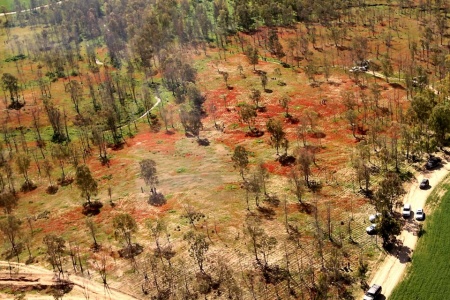 הטייס-צלם-עו"ד ועוד, אלי גודארד בתא הטייס