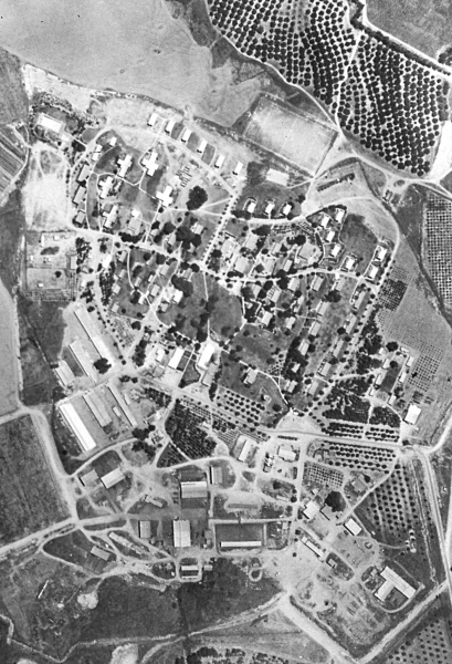 קובץ:Beeri 68.jpg