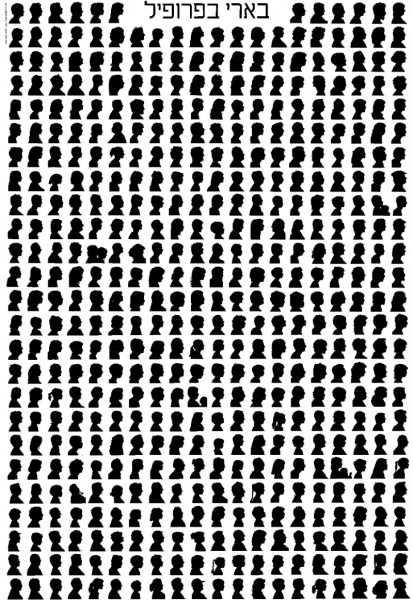 קובץ:Beeri Profil.jpg