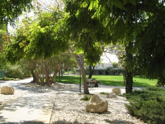 דשא מרכזי, 2013