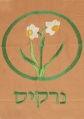 תמונה ממוזערת לגרסה מ־13:46, 6 באוגוסט 2007