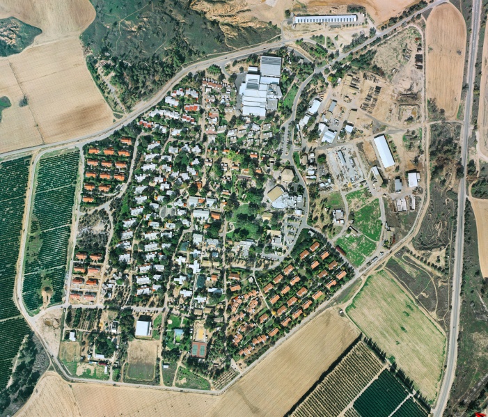 קובץ:Beeri 2012.jpg