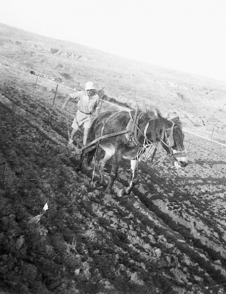 קובץ:Harish Nahbir.jpg