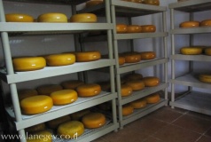 מחלבת בארי, שלבי הכנה