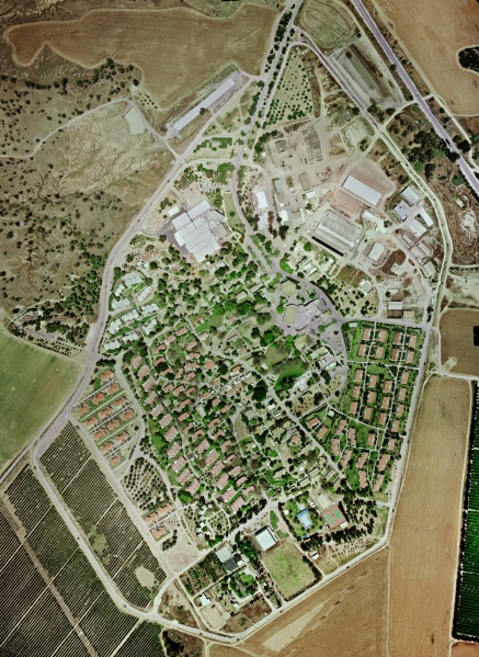 קובץ:Beeri 2000 tza s.jpg