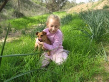 ספייסי, הכלבה של משפחת נשיא. כשמה כן היא (מפולפלת)