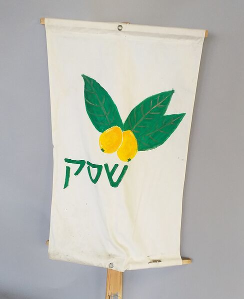 קובץ:Shesek Flag.jpg