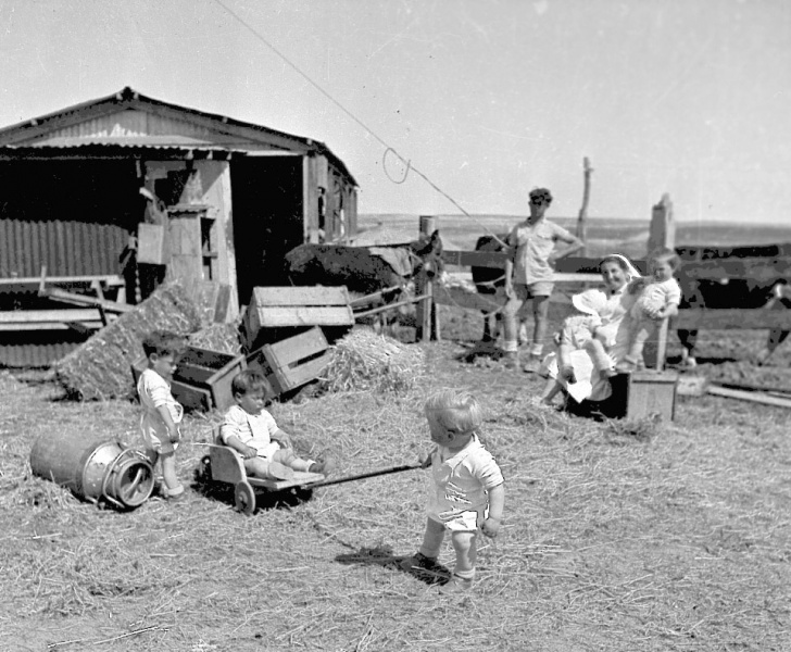 קובץ:Hinuch 1950.jpg