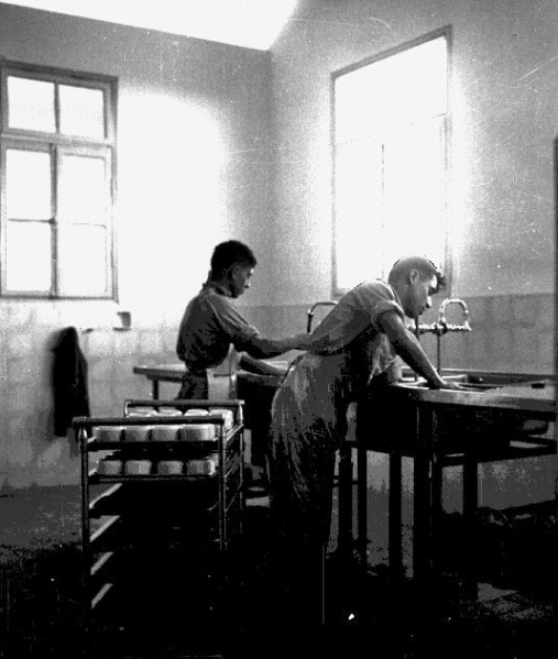 קובץ:Shtifat Kelim Yad.jpg