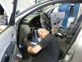 יוגב דבורי בתנוחה אופיינית, 2013