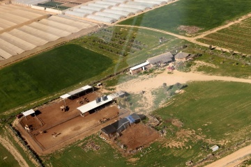 חוות הגמלים של נבו נגלר, "סביון" ליד עין הבשור, פברואר 2012