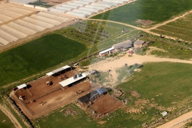 חוות הגמלים של נבו נגלר, "סביון" ליד עין הבשור, פברואר 2012