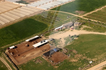 חוות הגמלים של נבו נגלר, "רקפת" ליד עין הבשור, פברואר 2012