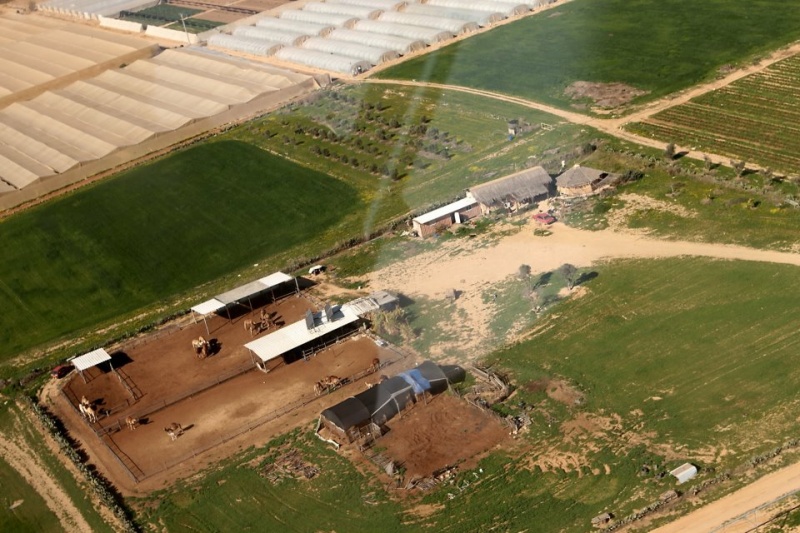 קובץ:Godard 2012 1.jpg