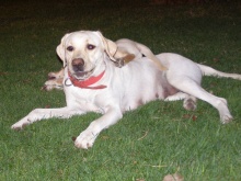 טוויסט (רון) שורק בצעירותה, עם בתה ג'וי (מימין). Twist and shout... Cmon cmon baby now...