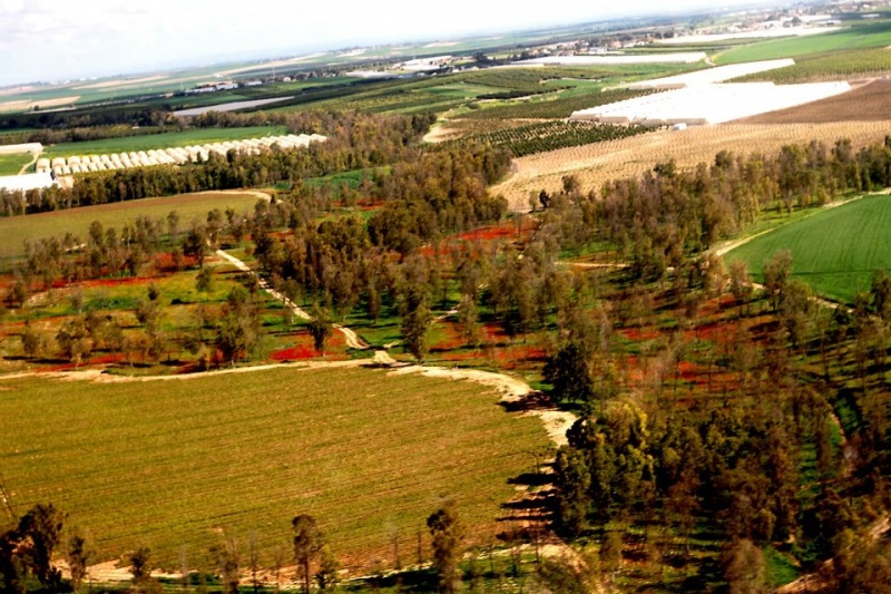 קובץ:Godard 2012 2.jpg