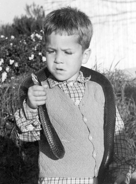 קובץ:Nahash Yosefi.jpg