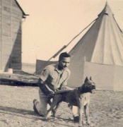 ליי, כלבו של יצחק בן יהודה ז"ל (שניהם נהרגו בהפגזה על נחביר)