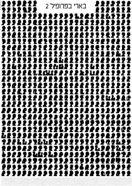 קובץ:Beeri Profile 2011c.jpg