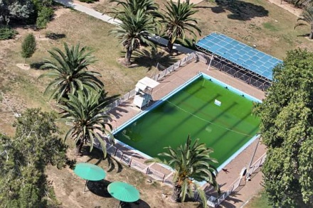 בריכת השחיה, 2008