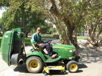 מאיר זרביב והמכסחת, 2013