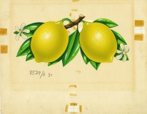 אוריגינל להדפסה (עיצוב: א. וליש)