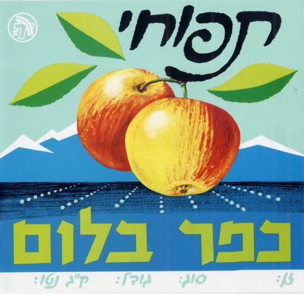 קובץ:KfarBlum 60s.jpg
