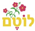 תמונה ממוזערת לגרסה מ־05:06, 20 ביולי 2008