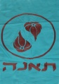תמונה ממוזערת לגרסה מ־04:07, 7 באוגוסט 2007