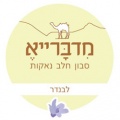 תמונה ממוזערת לגרסה מ־07:18, 11 באוגוסט 2011