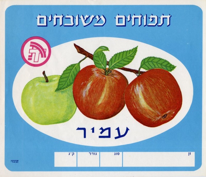 קובץ:Amir 60s.jpg
