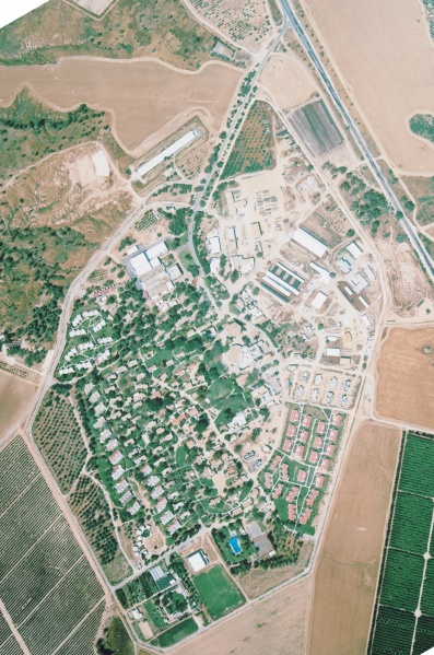 קובץ:Beeri 2001.jpg