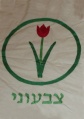 תמונה ממוזערת לגרסה מ־04:08, 7 באוגוסט 2007