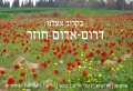 תמונה ממוזערת לגרסה מ־22:57, 1 בפברואר 2008