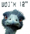 Emu 12 n.jpg